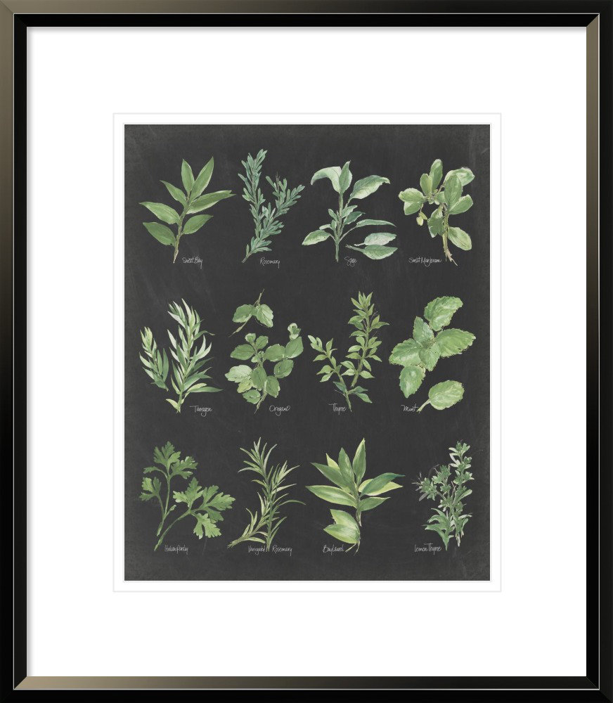 East Urban Home 'Herb Chart on Black' Framed Print on Canvas Wayfair